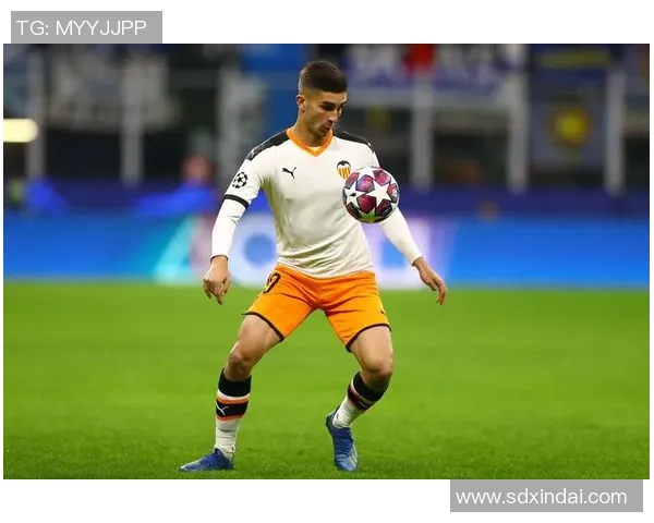 费兰托雷斯的足球之路：从青训到世界舞台的崛起与挑战